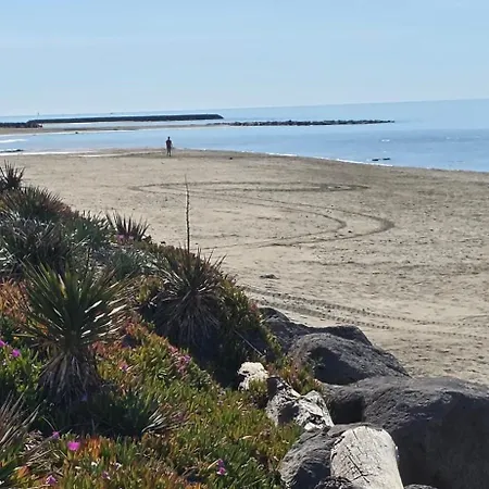 Willa Camarines Cap D 50 M Des Plages De Rochelongue-piscine Privee Agde